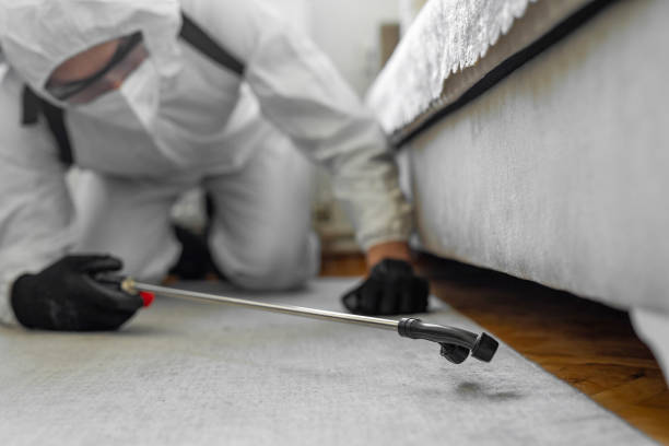 Professional Wasp Control technician working in Glens Falls North, NY