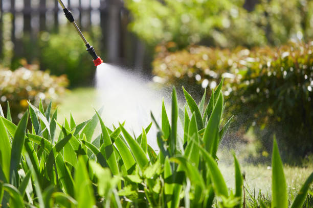 24/7 Emergency Mosquito Control experts in Glens Falls North, NY