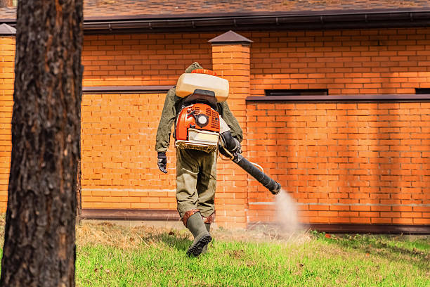 Trusted Rodent Control service in Glens Falls North, NY - Nex Pest Control